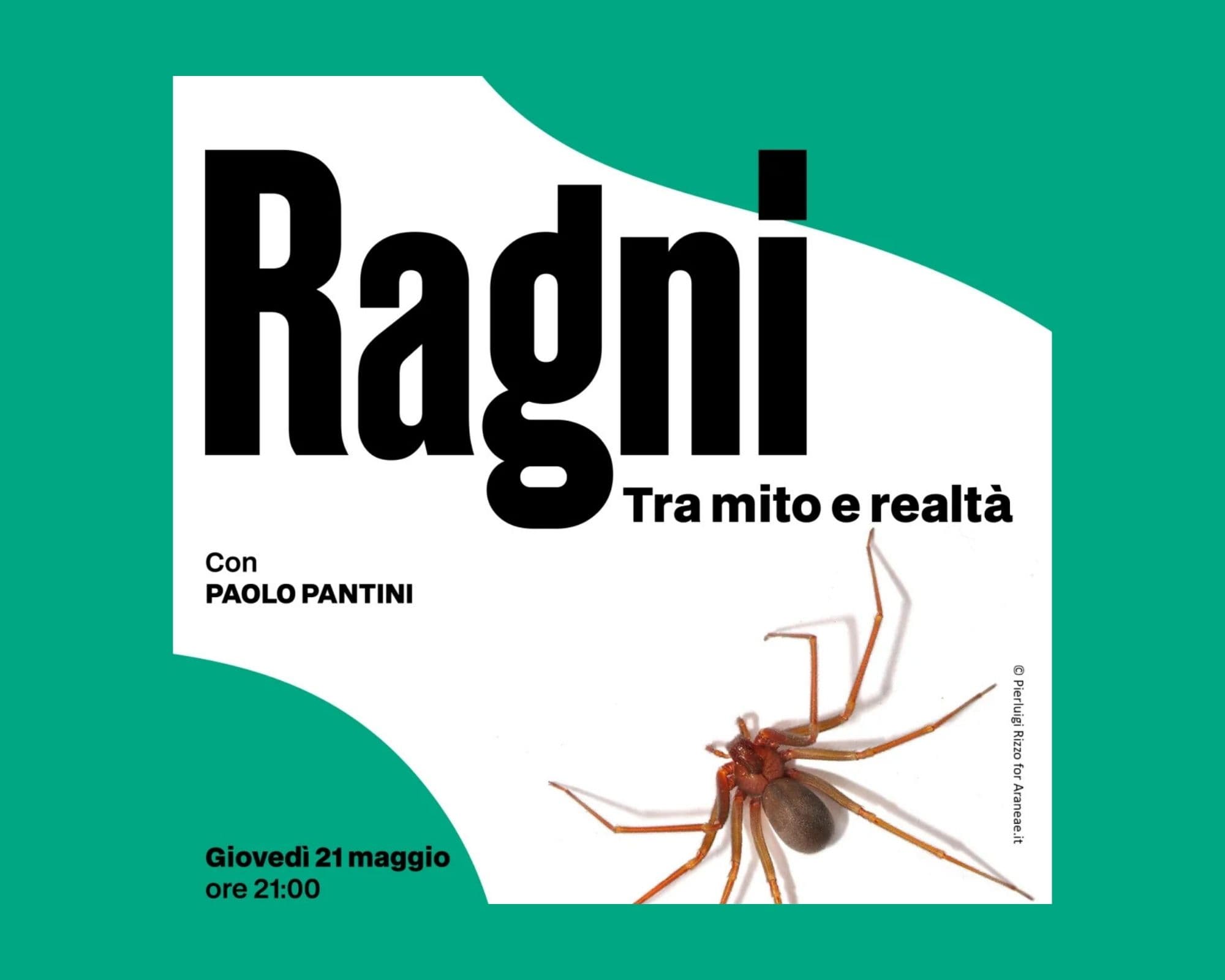 Ragni – tra mito e realtà — Teatro a Brescia, giovedì 21 maggio